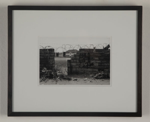 Kidz, Clarkes Estate