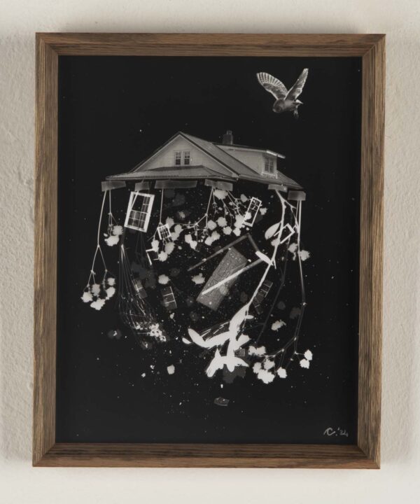 Abode Adrift in Silver – Owl