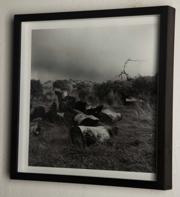 Untitled I - Image 2