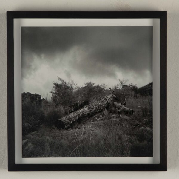 Untitled II