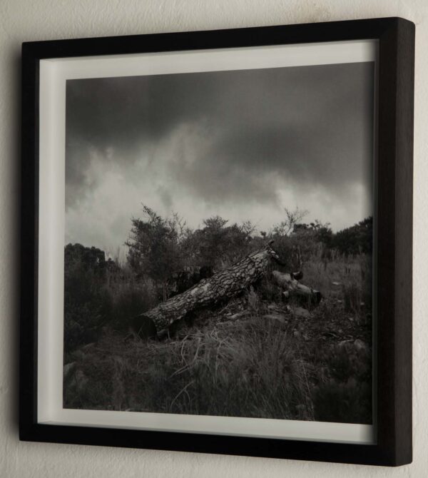 Untitled II - Image 2