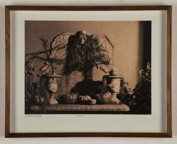 Pinhole