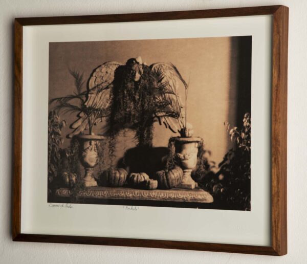 Pinhole - Image 2