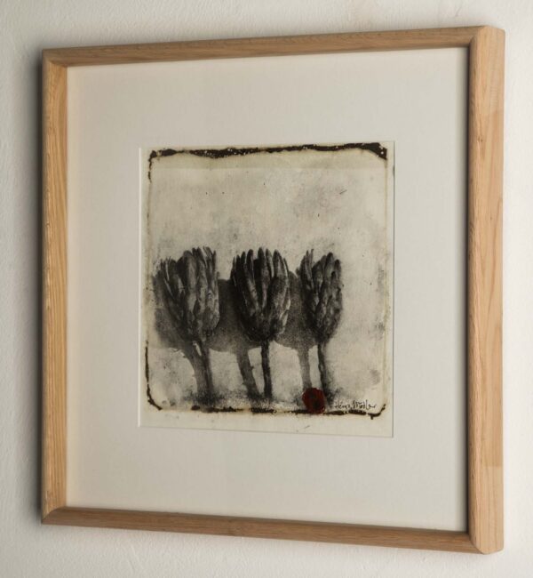 Proteas - Image 2