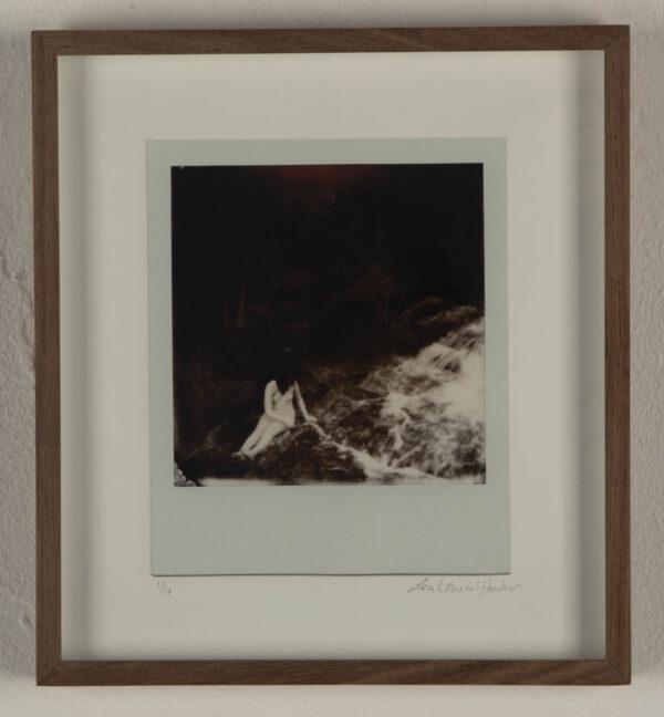 Polaroid Women 001