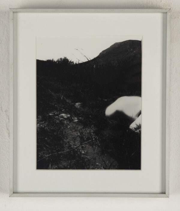 Untitled 1