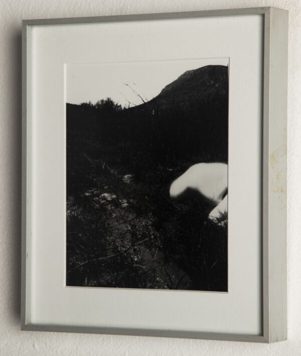 Untitled 1 - Image 2