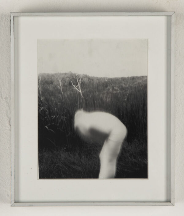 Untitled 4