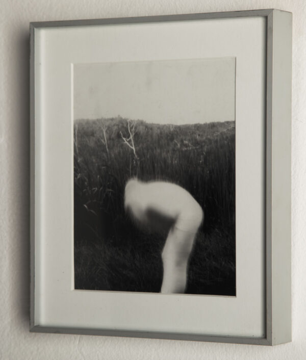 Untitled 4 - Image 2