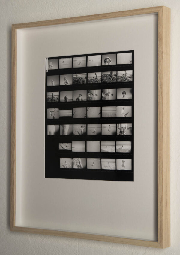 A family history - Image 2