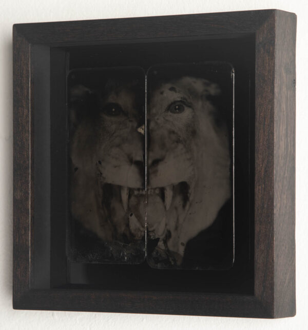 The Mirrored Fears - Image 2