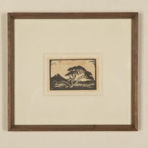 Uniegebou en Doringboom